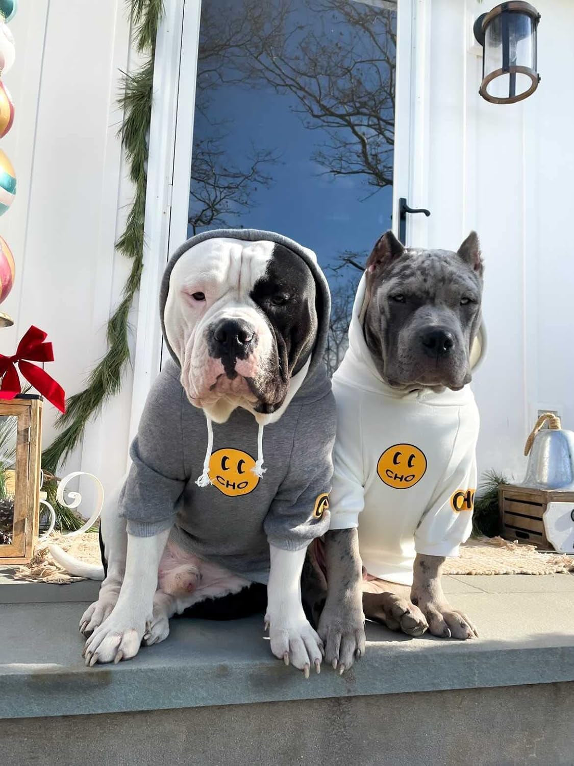 Smiley Dog Hoodie Stylish Dog Clothes Smiley Face Sweater Cotton Sweatshirt Fashion Outfit for Dogs Cats Puppy Small Medium Large (X-Large, Grey)