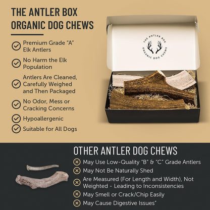 Premium Assorted Elk Antler Dog Chews - 1 lb Box with 7-8 Whole and Split Pieces