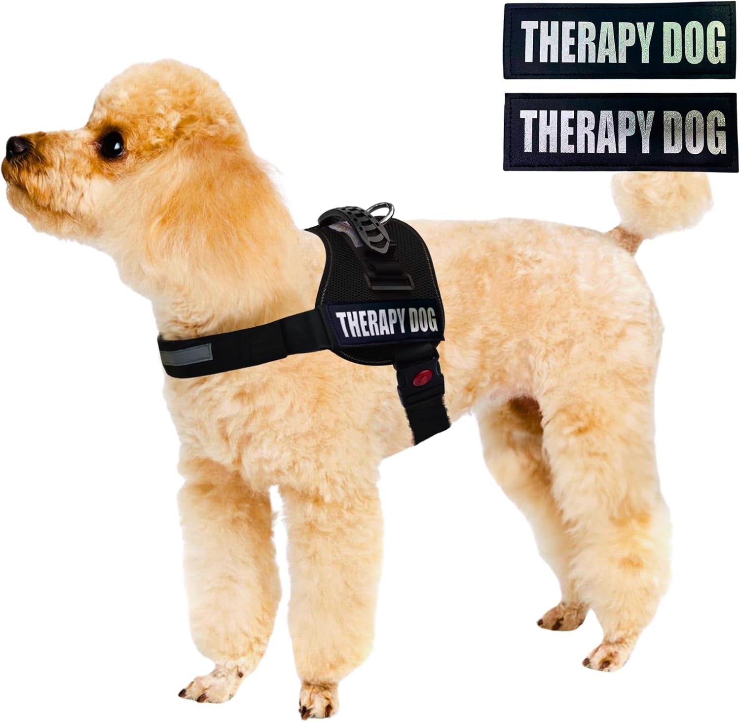Reflective Therapy Dog Vest Harness, Woven Nylon, Adjustable Service Animal Jacket, with 2 Hook and Loop Therapy Dog Removable Patches. Black, Extra Large