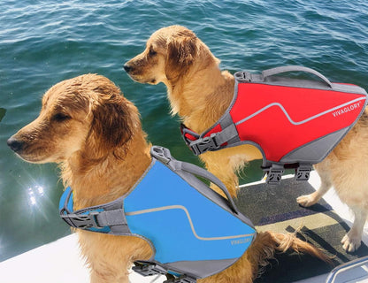 Neoprene Dog Life Vest, Dog Life Jacket for Swimming & Boating, Lightweight & Buoyancy for Puppy Doggy, Swimming Vest with Handle, M, Blue