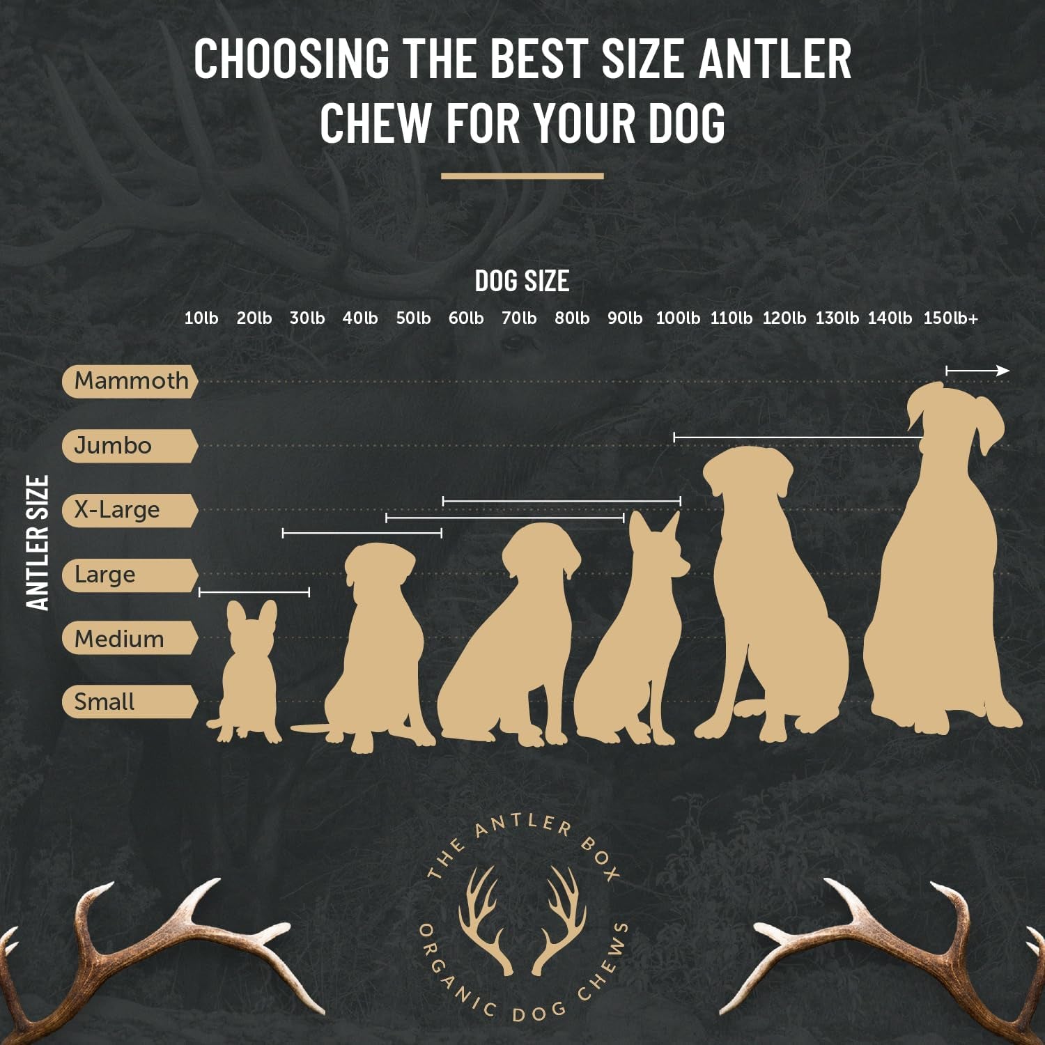 Premium Assorted Elk Antler Dog Chews - 1 lb Box with 7-8 Whole and Split Pieces