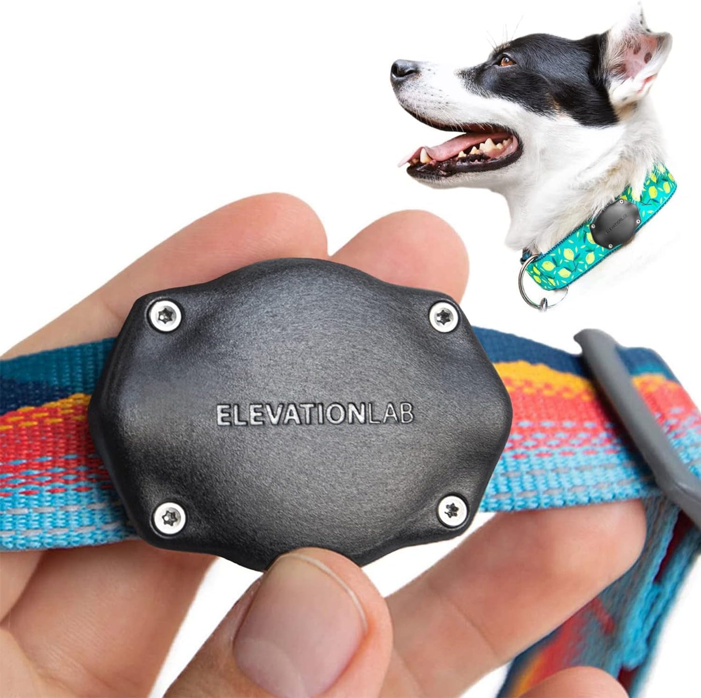 Tagvault Airtag Dog Collar Mount (Single) - IP69 Waterproof, Doesn'T Dangle, Fits All Width Collars, Glow in the Dark