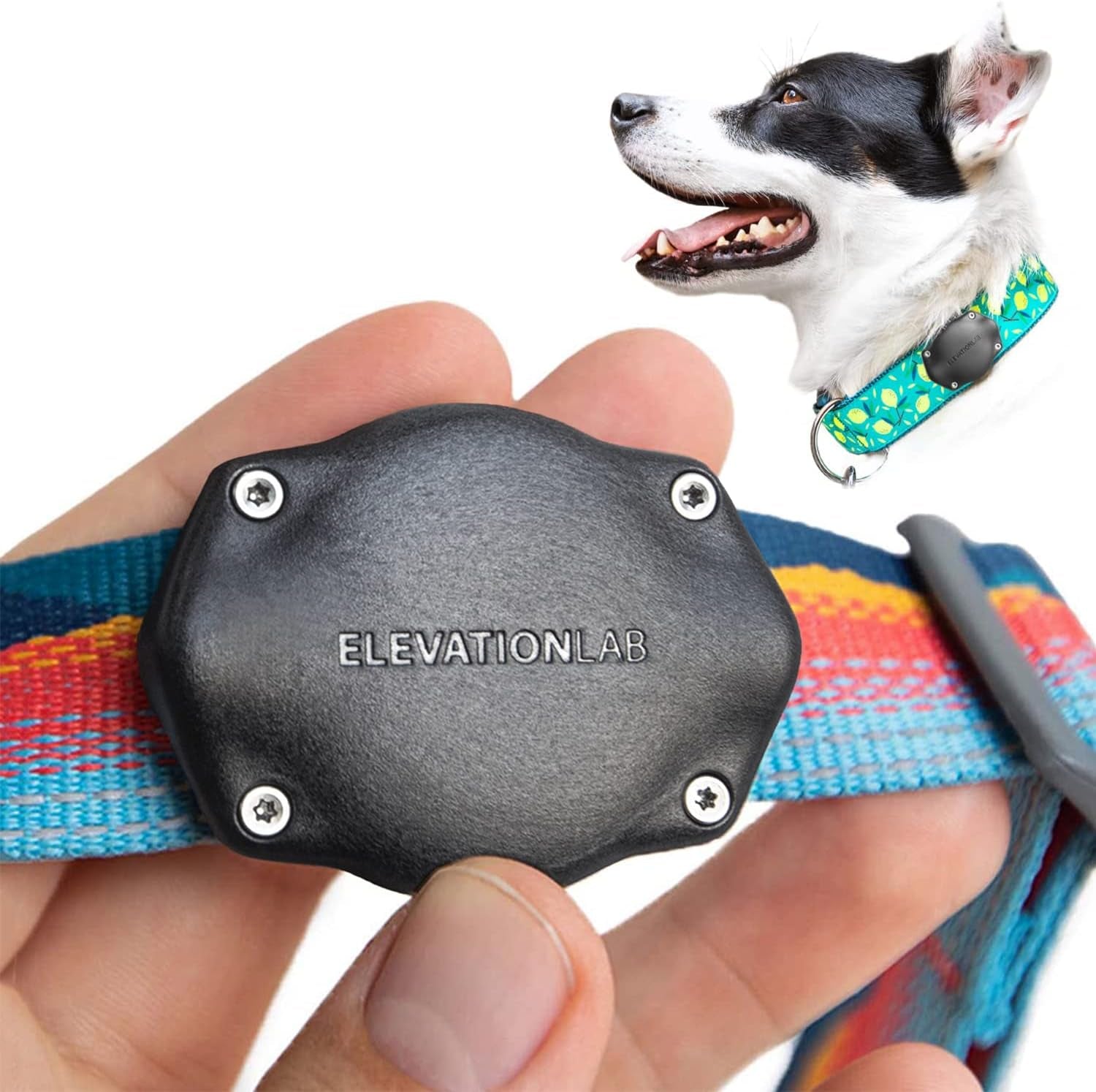 Tagvault Airtag Dog Collar Mount (Single) - IP69 Waterproof, Doesn'T Dangle, Fits All Width Collars, Glow in the Dark