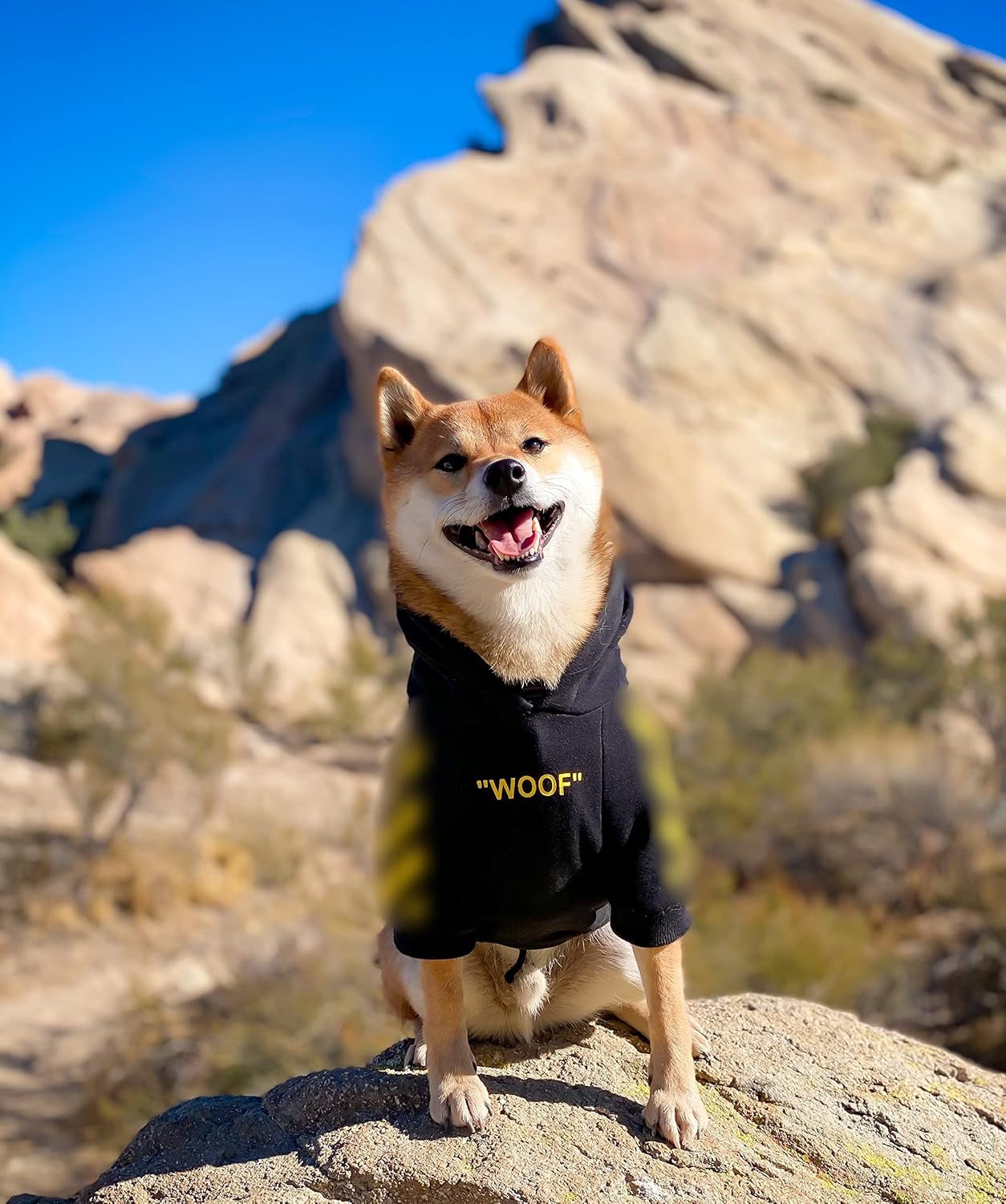 Stylish Dog Hoodie Dog Clothes Streetwear Cotton Sweatshirt Fashion Outfit for Dogs Cats Puppy Small Medium Large (5XL, Yellow)