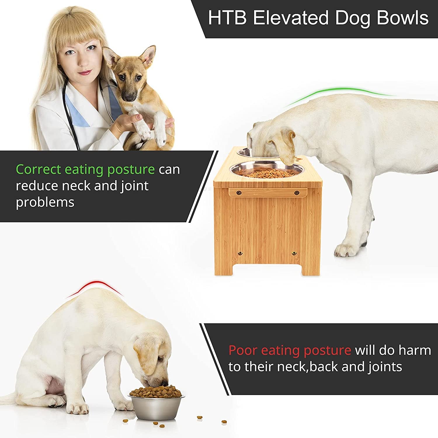 Elevated Dog Bowl Stand with Dual Stainless Steel Bowls for Dogs of All Breeds