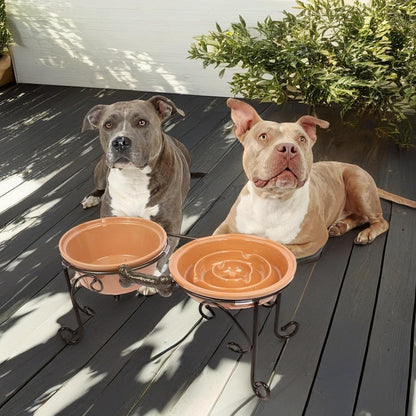 Dog Bowl Stand with 3 Ceramic Bowls - Raised Feeding Station for Medium & Large Dogs, Includes 2 Standard Bowls + 1 Slow Feeder, Durable Iron Frame, Non-Slip (Almond)