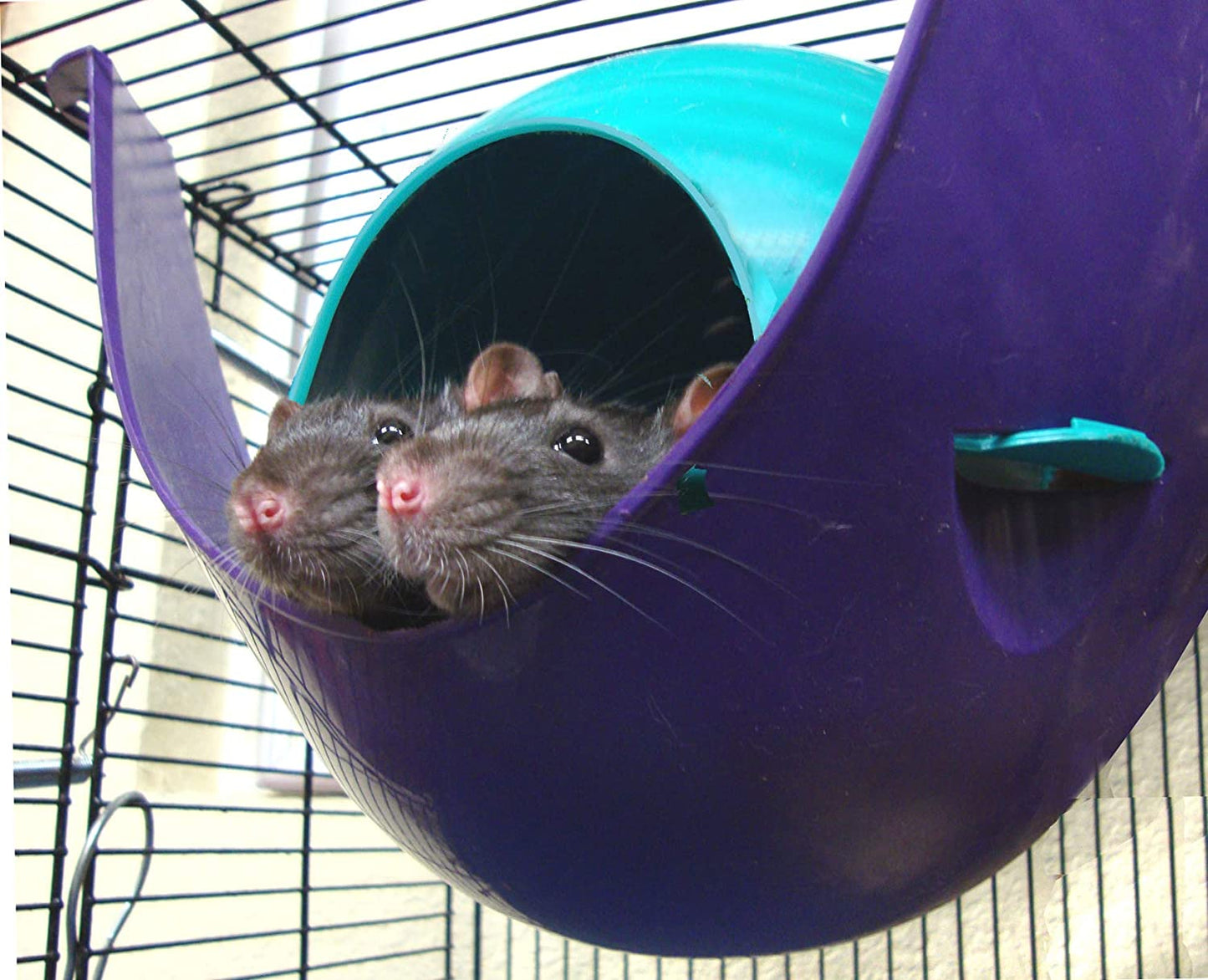 Igloos and Hideaways for Guinea Pigs, Rats, Mice, Hamsters, Gerbils and Other Small Animals (Assorted, Large Space Pod)