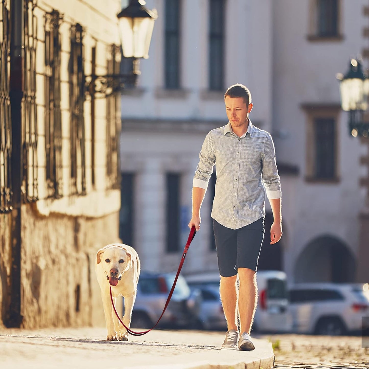 4FT Heavy-Duty Dog Leash with Padded Dual Handles, Durable Clasp, and Reflective Nylon for All Breeds - Red