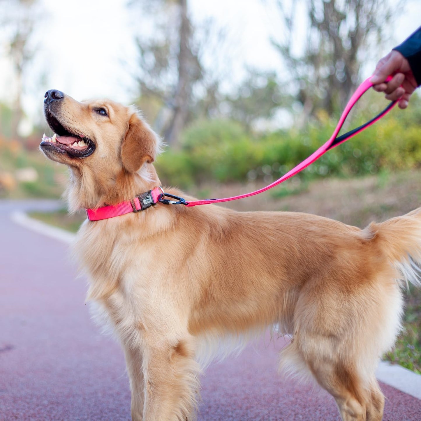 Pets 24 Inches Heavy Duty Short Leash with Comfortable Handle and Lightweight Aviation Aluminium Clip Lead- for Large Medium Dogs Daily Necessities. (Hot Pink)