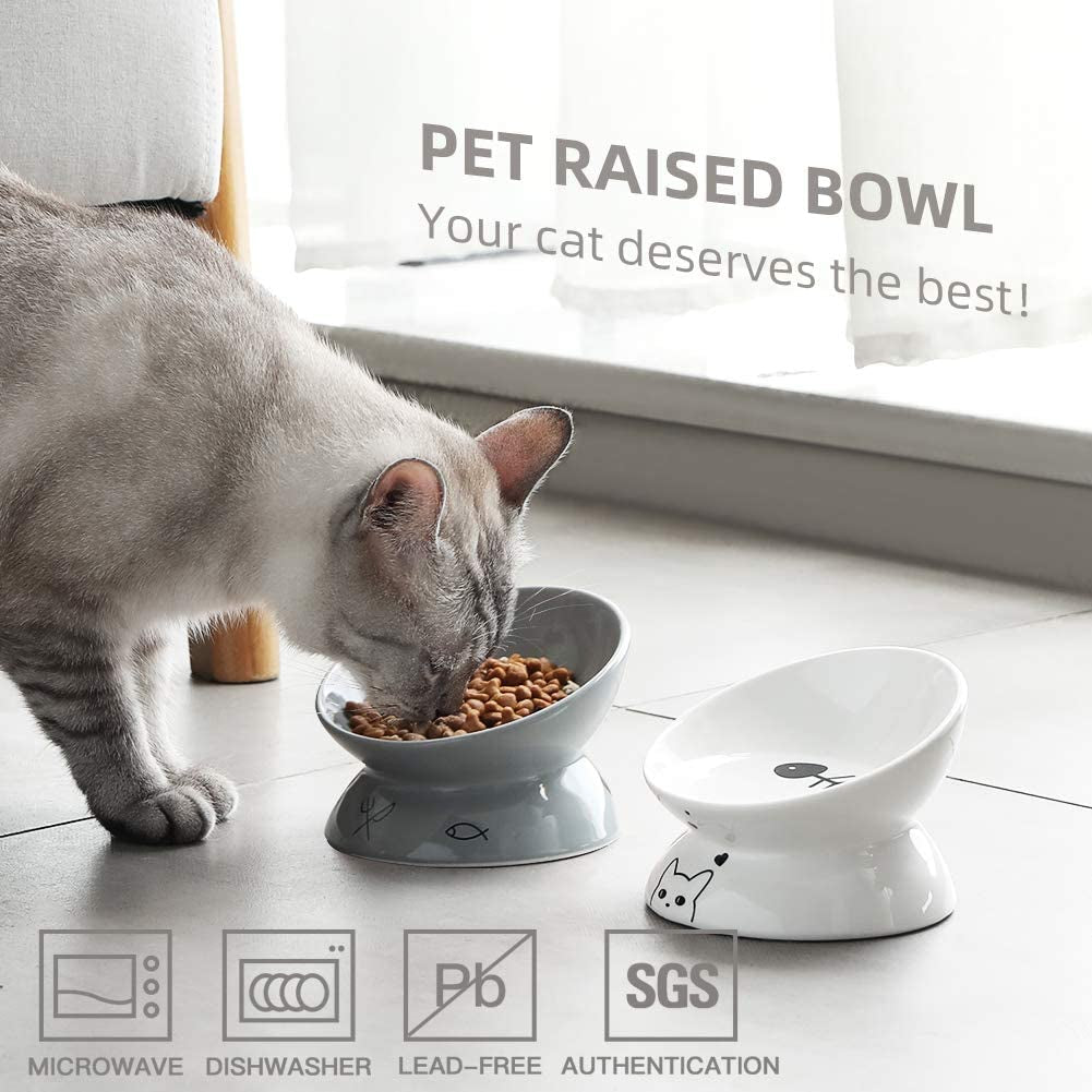 Elevated Ceramic Cat Bowls for Food and Water with Slanted Design for Spine Support and Backflow Prevention (Gray)