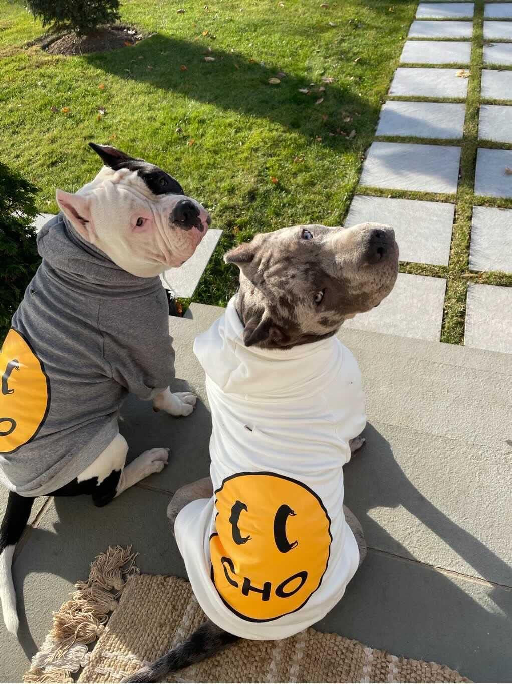 Smiley Dog Hoodie Stylish Dog Clothes Smiley Face Sweater Cotton Sweatshirt Fashion Outfit for Dogs Cats Puppy Small Medium Large (X-Large, Grey)