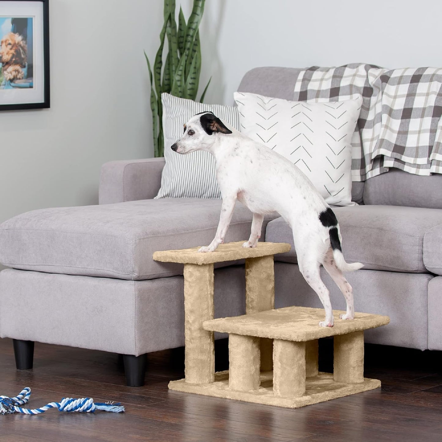 Steady Paws Multi-Step Pet Stairs for High Beds & Sofas - Cream, 3-Step