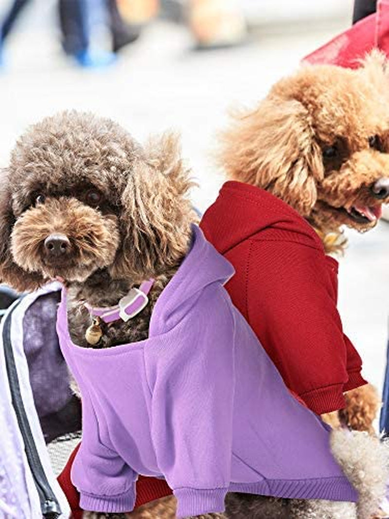 XXS Dog Sweater Ensemble - 4-Piece Winter Hoodie Set with Hat and Pocket for Small Breeds and Puppies, Perfect for Chihuahuas